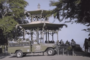 Rio de Janeiro: Jeep-Tour durch den Tijuca-Wald