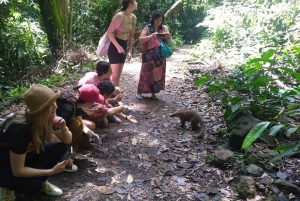 Rio de Janeiro: Jeep-Tour durch den Tijuca-Wald