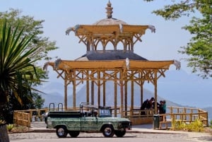 Rio de Janeiro: Jeep-Tour durch den Tijuca-Wald