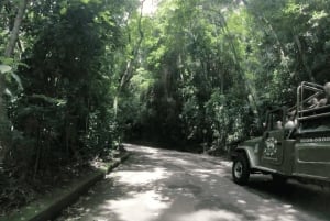 Rio de Janeiro: Jeep-Tour durch den Tijuca-Wald