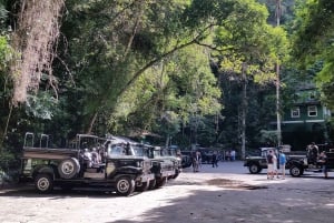 Rio de Janeiro: Jeep-Tour durch den Tijuca-Wald