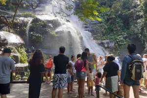 Rio de Janeiro: Jeep-Tour durch den Tijuca-Wald