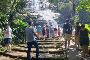 Rio de Janeiro: Jeep-Tour durch den Tijuca-Wald