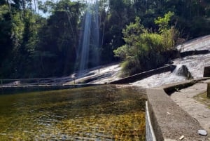 Rio de Janeiro: Jeep-Tour durch den Tijuca-Wald