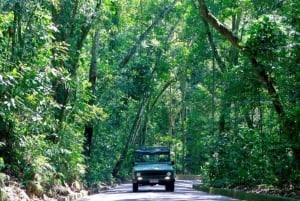 Rio de Janeiro: Jeep-Tour durch den Tijuca-Wald