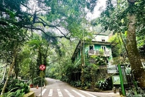 Rio de Janeiro: Jeep-Tour durch den Tijuca-Wald