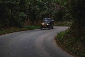 Rio de Janeiro: Jeep-Tour durch den Tijuca-Wald