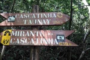 Rio de Janeiro: Jeep-Tour durch den Tijuca-Wald