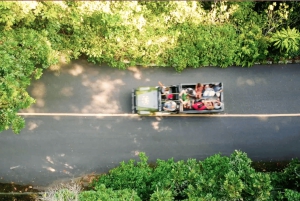 Rio de Janeiro: Jeep-Tour durch den Tijuca-Wald