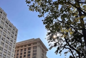 Rio de Janeiro: Ursprunget till den brasilianska moderna arkitekturen