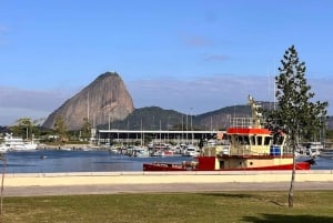 Rio de Janeiro: Ursprunget till den brasilianska moderna arkitekturen
