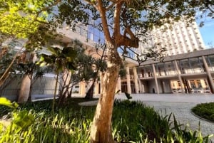 Rio de Janeiro: Ursprunget till den brasilianska moderna arkitekturen