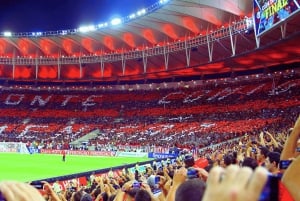 Rio: biglietto per la partita di calcio allo stadio Maracanã e trasporto privato