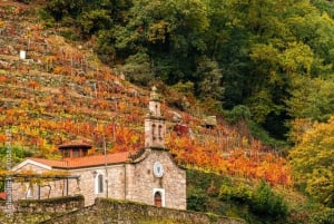 ✅Ruta Ribeira Sacra et Sarria : entre vignobles, histoire et chemin de Saint-Jacques-de-Compostelle