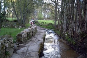 ✅Ruta Ribeira Sacra et Sarria : entre vignobles, histoire et chemin de Saint-Jacques-de-Compostelle