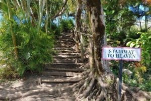 Saint Lucia: Tet Paul Nature Trail Hiking Tour & Beach