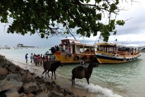 Salvador: Morro de São Paulo Island Transfer Service