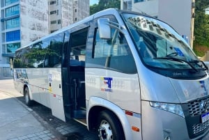 Salvador: Morro de São Paulo Island Transfer Service