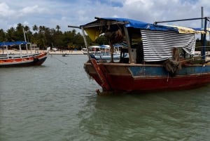 Salvador: Morro de São Paulo Island Transfer Service