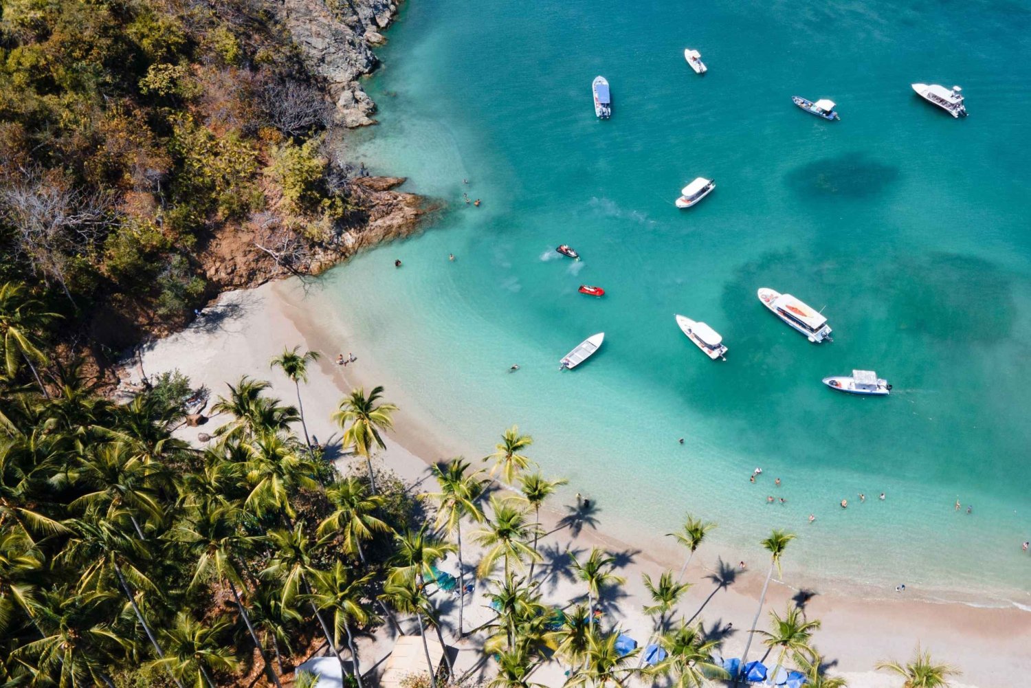 San José: Excursão à Ilha Tortuga com mergulho com snorkel e almoço