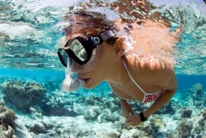 Santa Maria: Guidet snorkeltur med skibsvrag og rev