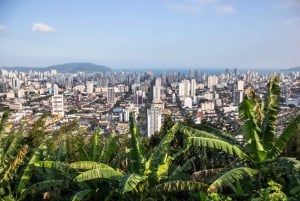 Santos: 7-hour Complete Shared City Tour - Main City Sights