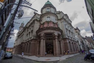 Santos: 7-hour Complete Shared City Tour - Main City Sights