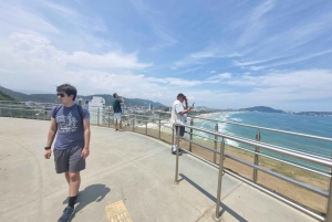 Santos og Guaruja: 8 timers strandtur med start i Sao Paulo