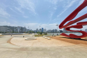 Santos og Guaruja: 8 timers strandtur med start i Sao Paulo