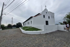 Santos og Guaruja: 8 timers strandtur med start i Sao Paulo