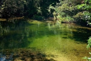 Santos: Guided Kayak Tour in the Heart of the State Park