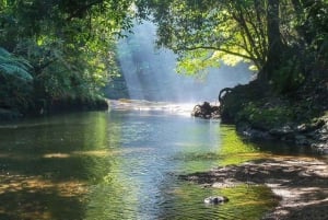 Santos: Guided Kayak Tour in the Heart of the State Park