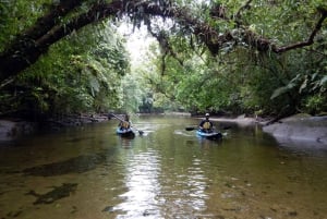 Santos: Guided Kayak Tour in the Heart of the State Park