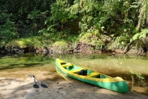 Santos: Guided Kayak Tour in the Heart of the State Park