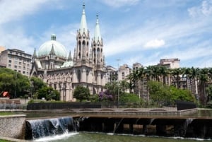 Santos: Prywatny 8-godzinny przegląd São Paulo