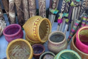 Santos Shore Excursion: Rain Forest and Indian Reserve