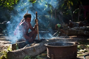 Santos Shore Excursion: Rain Forest and Indian Reserve