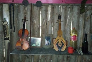 Santos Shore Excursion: Rain Forest and Indian Reserve