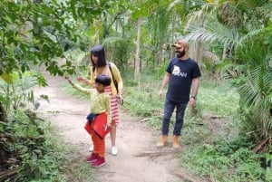 Santos Shore Excursion: Rain Forest and Indian Reserve