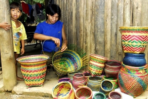 Santos Shore Excursion: Rain Forest and Indian Reserve