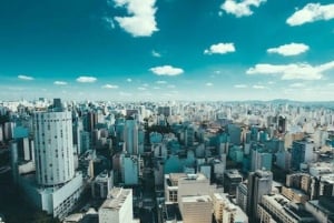 Santos Landutflykt: Sightseeing och flygplats i Sao Paulo