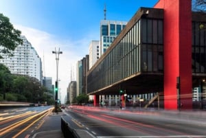 Santos Landutflykt: Sightseeing och flygplats i Sao Paulo