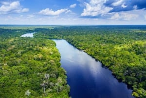 Santos - Vattenfall Vandring vid vattenfall och båtresa i regnskogen