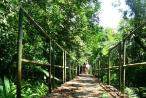 Santos - Vattenfall Vandring vid vattenfall och båtresa i regnskogen