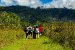 Santos - Vattenfall Vandring vid vattenfall och båtresa i regnskogen