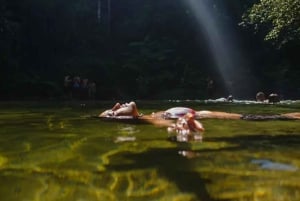 Santos - Vattenfall Vandring vid vattenfall och båtresa i regnskogen