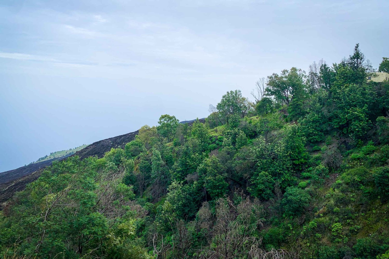Sao Filipe: Jednodniowa wycieczka na plantację kawy i naturalne baseny