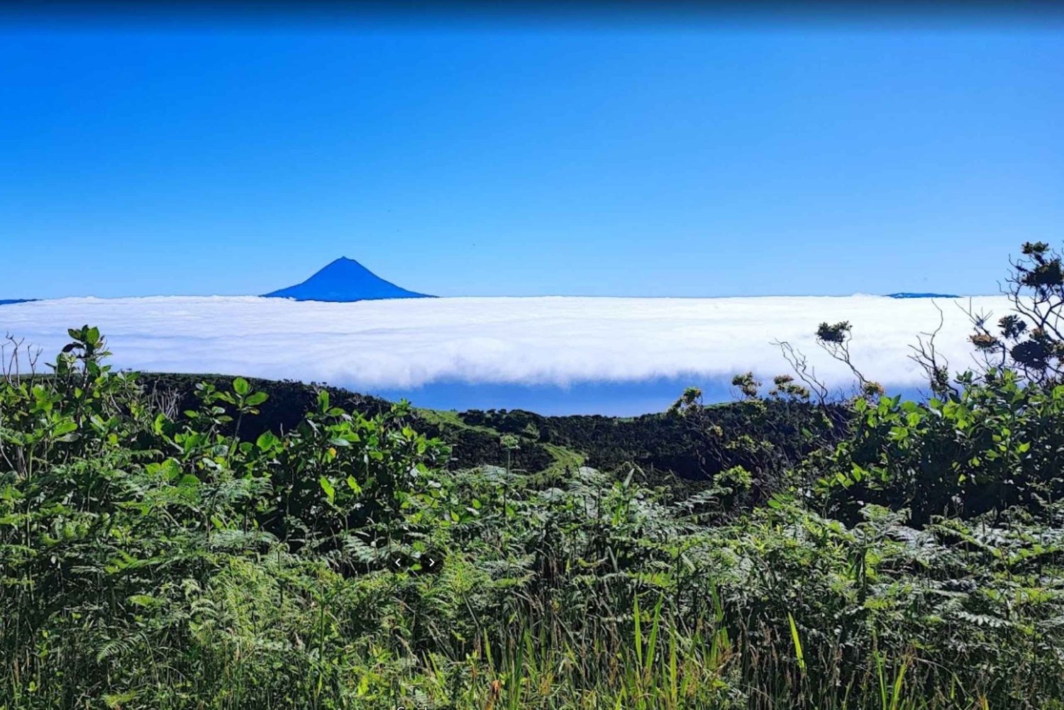 São Jorge: Ö, skogsreservat och Fajãs Guidad tur