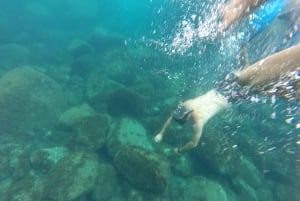 São Jorge Island Tour med tilvalg af snorkling og vandretur