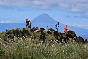 São Jorge Island Tour med tilvalg af snorkling og vandretur